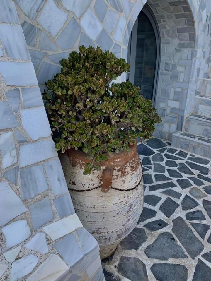Πέτρινο Στη Θάλασσα Lägenhet Nafpaktos Exteriör bild
